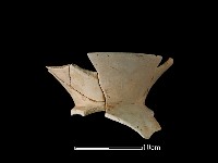 陶罐藏品圖，第2張