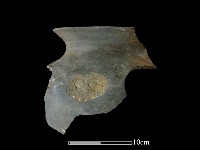 陶罐藏品圖，第1張