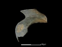 陶罐藏品圖，第2張