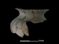 陶罐藏品圖，第2張