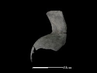 陶罐藏品圖，第1張