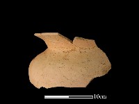 陶罐藏品圖，第2張