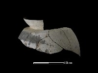 陶罐藏品圖，第2張