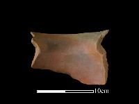 陶罐藏品圖，第2張