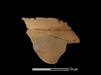 陶罐藏品圖，第2張