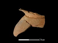 陶罐藏品圖，第1張