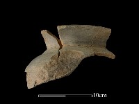 陶罐藏品圖，第2張