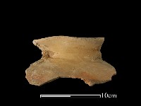 陶罐藏品圖，第2張