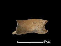 陶罐藏品圖，第1張