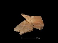 陶罐藏品圖，第2張