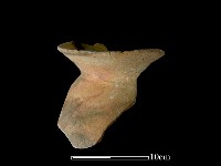 陶罐藏品圖，第1張