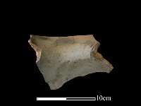 陶罐藏品圖，第1張