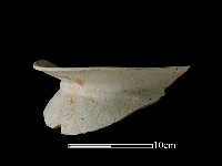 陶罐藏品圖，第2張