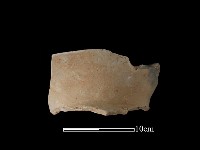 陶罐藏品圖，第1張