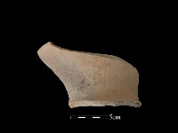 陶罐藏品圖，第2張