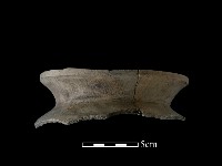 陶罐藏品圖，第2張