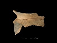 陶罐藏品圖，第2張