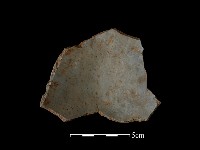 陶片藏品圖，第2張