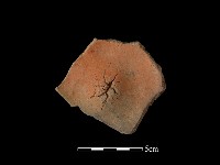 陶片藏品圖，第2張