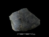 陶片藏品圖，第1張