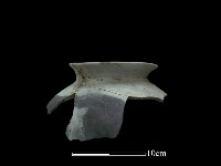 陶罐藏品圖，第3張