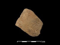 陶片藏品圖，第1張