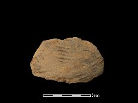 陶片藏品圖，第1張