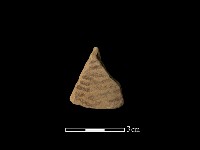 陶罐藏品圖，第1張