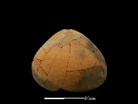 陶甑藏品圖，第1張