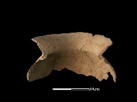 陶罐藏品圖，第4張