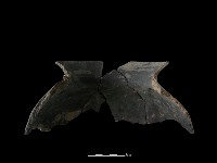 陶罐藏品圖，第3張