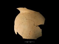 陶罐藏品圖，第2張