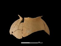 陶罐藏品圖，第1張