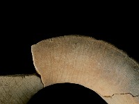 陶罐藏品圖，第4張