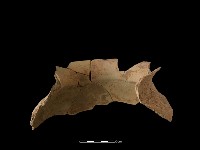 陶罐藏品圖，第4張