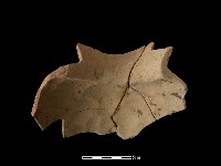 陶罐藏品圖，第3張