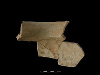 陶罐藏品圖，第3張