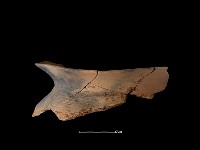 陶罐藏品圖，第3張