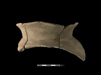 陶罐藏品圖，第1張