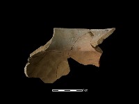 陶罐藏品圖，第3張