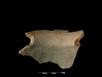 陶罐藏品圖，第3張