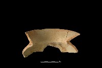 陶罐藏品圖，第2張