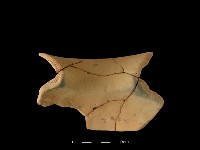 陶罐藏品圖，第2張