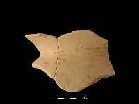 陶罐藏品圖，第2張