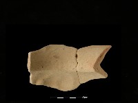 陶罐藏品圖，第1張