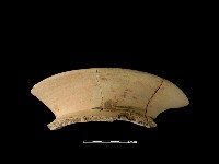 陶罐藏品圖，第2張