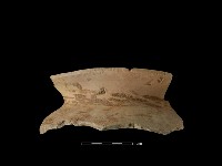 陶罐藏品圖，第2張