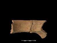 陶罐藏品圖，第2張