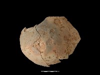 陶罐藏品圖，第1張