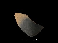 陶罐藏品圖，第2張